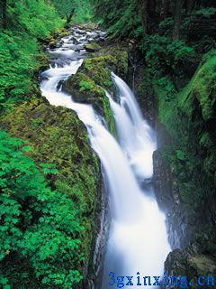 高山清水