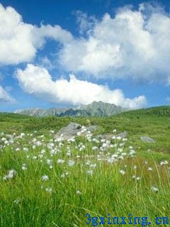 山好水好风景美